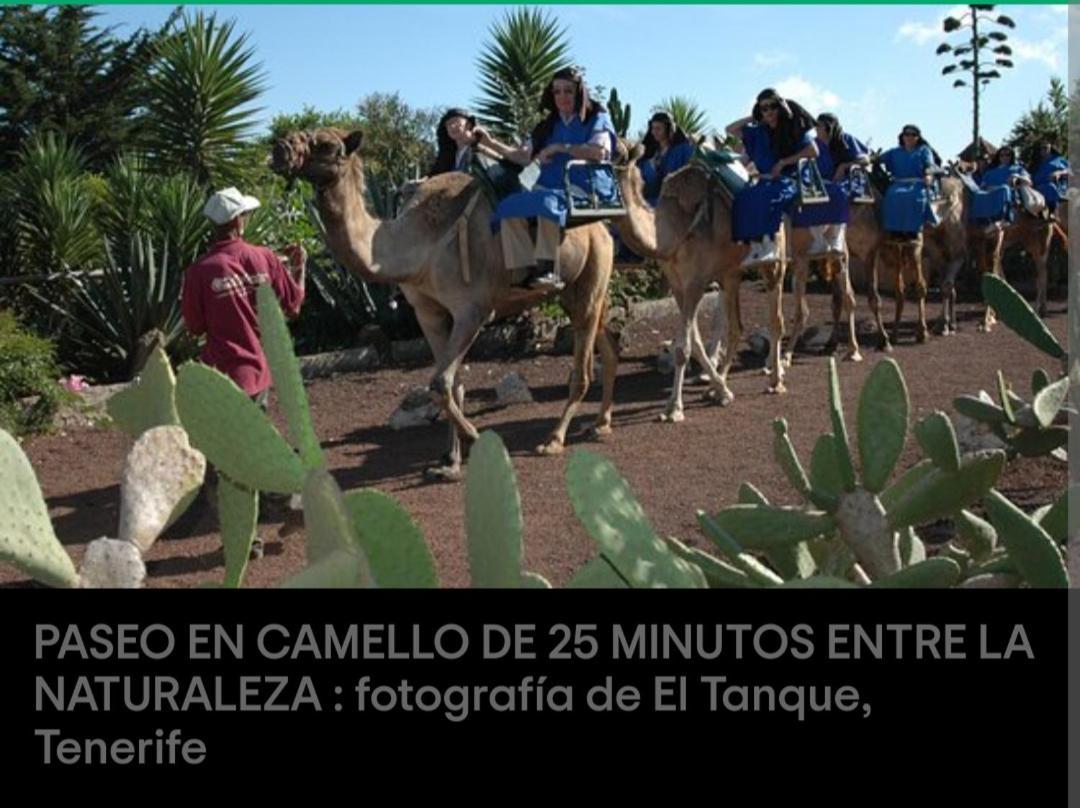 La Fortaleza Erjos-El Tanque Dış mekan fotoğraf